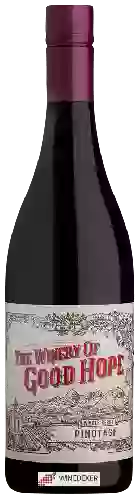 The Winery of Good Hope - Whole Berry Pinotage