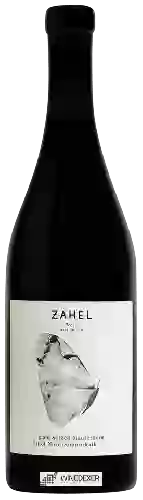 Weingut Zahel - Ried Sätzen Maurerberg Dolomitkalk Pinot Noir