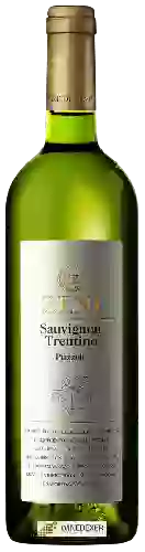 Weingut Zeni - Piazzole Sauvignon Trentino