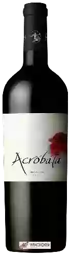 Winery Acróbata - Entre Cordilleras