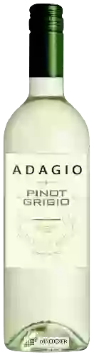 Winery Adagio - Pinot Grigio
