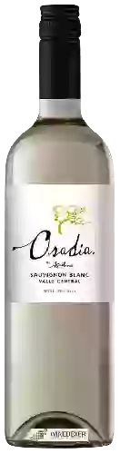 Winery Agustinos - Osadia Sauvignon Blanc
