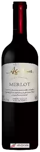 Winery Agustinos - Reserva Merlot