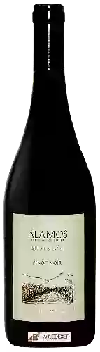 Winery Alamos - Selección Pinot Noir