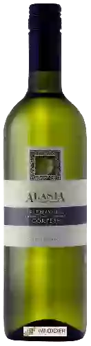 Winery Alasia - Cortese Piemonte