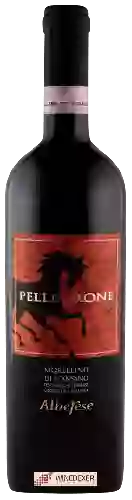 Winery Alberese - Pellegrone