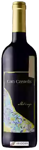 Winery Albet i Noya - Can Castells