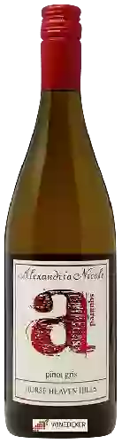 Winery Alexandria Nicole - a Squared Pinot Gris