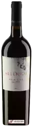 Winery Allenico - Primitivo Salento