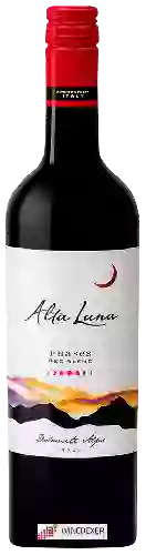 Winery Alta Luna - Phases