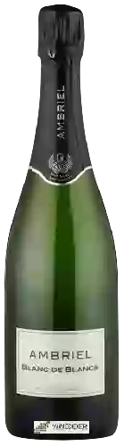 Winery Ambriel - Blanc de Blancs