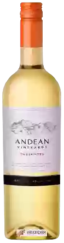 Winery Andean Vineyards - Torrontés