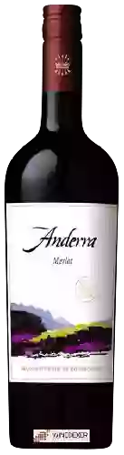 Winery Anderra - Merlot
