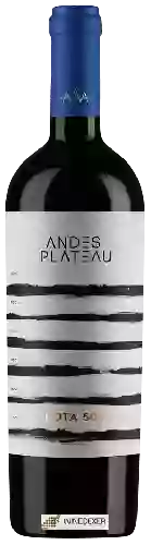 Winery Andes Plateau - Cota 500