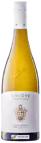 Winery Angove - Chardonnay