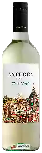 Winery Anterra - Pinot Grigio