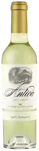 Winery Antica - G & G Soracco