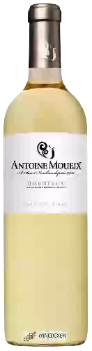 Winery Antoine Moueix - Sauvignon Blanc Bordeaux
