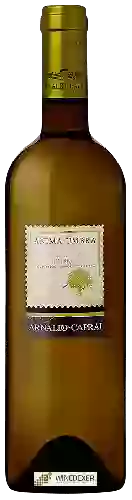 Winery Arnaldo-Caprai - Anima Umbra Grechetto Umbria