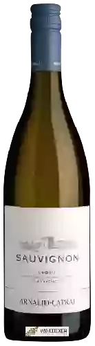 Winery Arnaldo-Caprai - Sauvignon Umbria