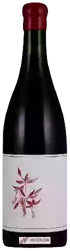 Winery Arnot-Roberts - Coastlands Vineyard Pinot Noir