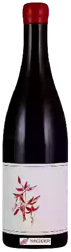 Winery Arnot-Roberts - Gamay Noir