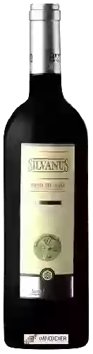 Bodegas Asenjo & Manso - Silvanus Crianza