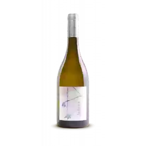 Winery Attilon - Ambition Blanc