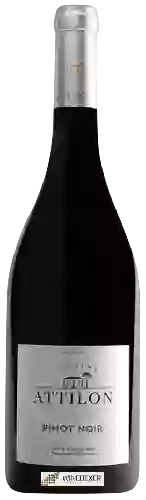 Winery Attilon - Pinot Noir