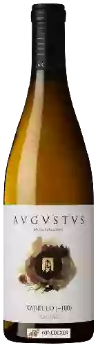 Winery Avgvstvs - Xarel-lo (+100)