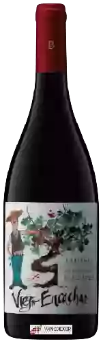 Winery Balduzzi - Viejo Encachao Grand Reserve Carignan