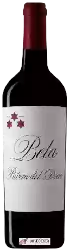 Winery Bela - Roble