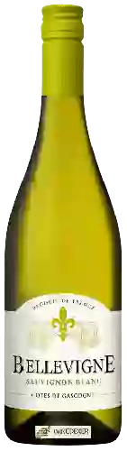 Winery Bellevigne - Sauvignon Blanc