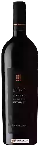 Winery Binyamina - Diamond Dry Red ( אבני החושן יהלום )