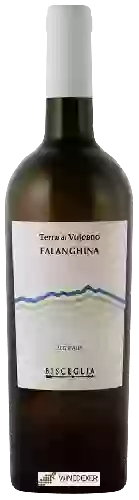 Winery Bisceglia - Terra di Vulcano Falanghina