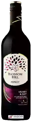 Winery Blossom Hill - Merlot