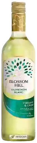 Winery Blossom Hill - Sauvignon Blanc
