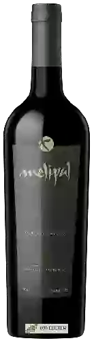 Winery Melipal - Cabernet Franc