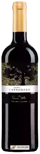 Bodegas Fontana - Monte Carbonero Tinto