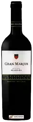 Bodegas Piqueras - Gran Marius Reserva Selección