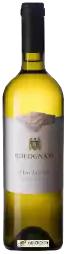 Winery Bolognani - Chardonnay