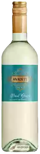 Winery Botter - Avanti Pinot Grigio