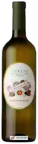 Winery Ca' Ronesca - Sauvignon Blanc