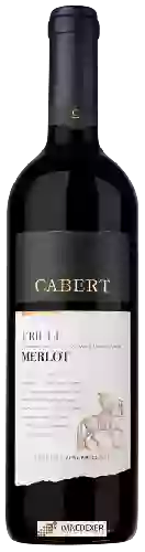 Winery Cabert - Merlot