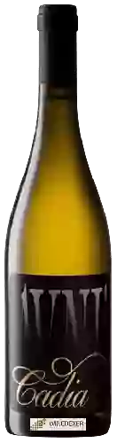 Winery Cadia - Avni Chardonnay