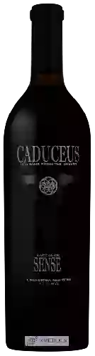 Winery Caduceus - Nagual del Sensei