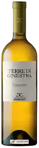 Winery Calatrasi - Catarratto Terre Siciliane Terre Di Ginestra