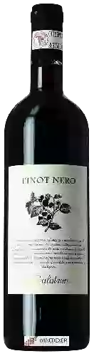 Winery Calatroni - Pinot Nero