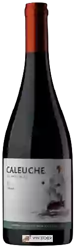 Winery Caleuche - Reserve Syrah