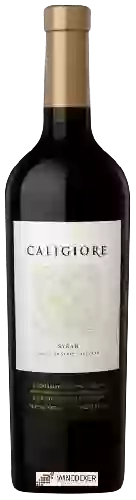 Winery Caligiore - Single Organic Vineyard Syrah